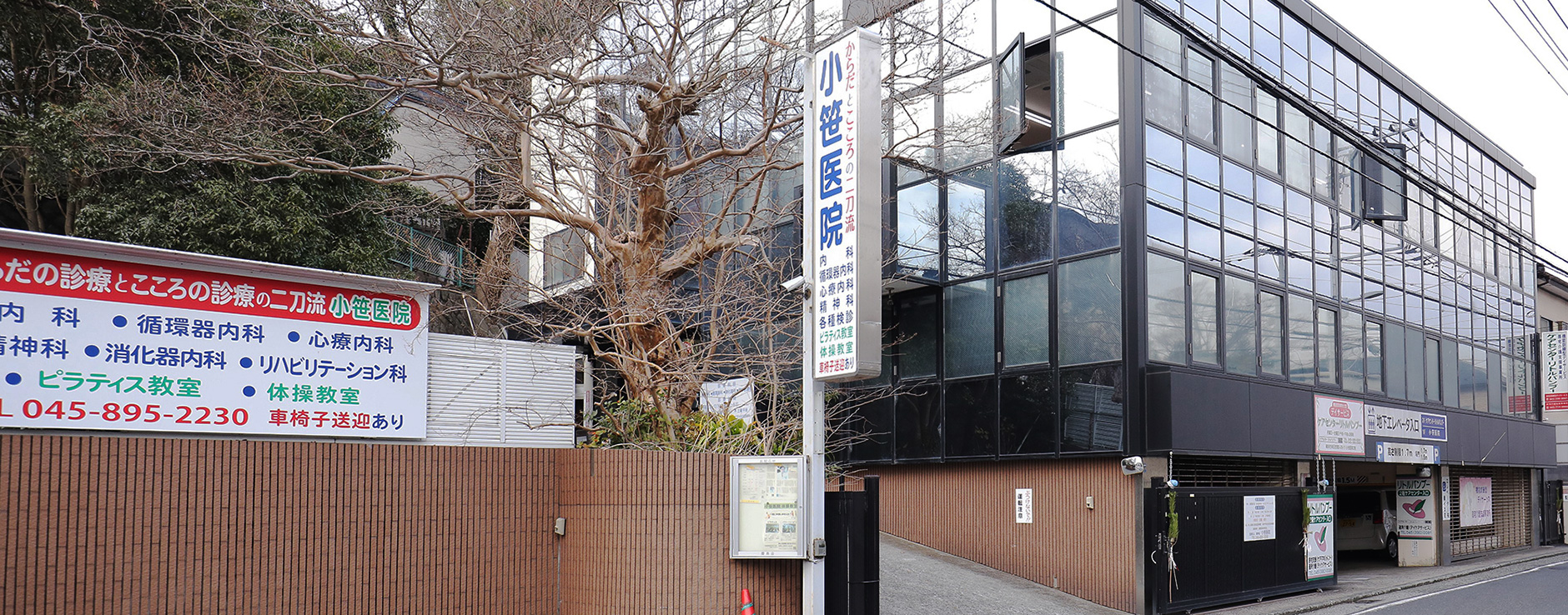 心身の調和から、本当の健康へ