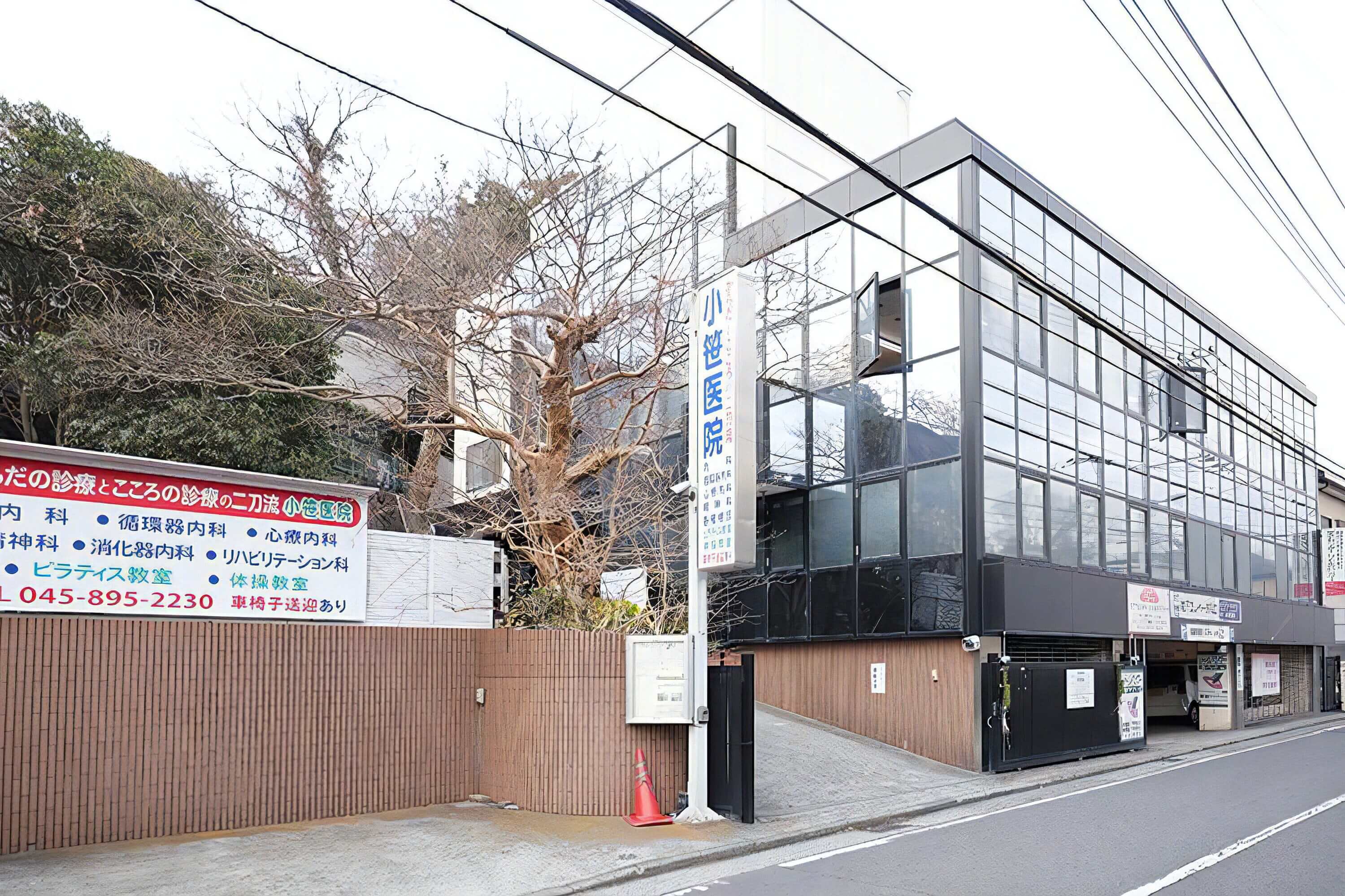 心身の調和から、本当の健康へ